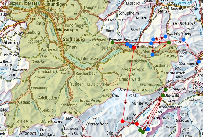 The M29 bear and its stay in Switzerland and the canton of Bern in 2019.
